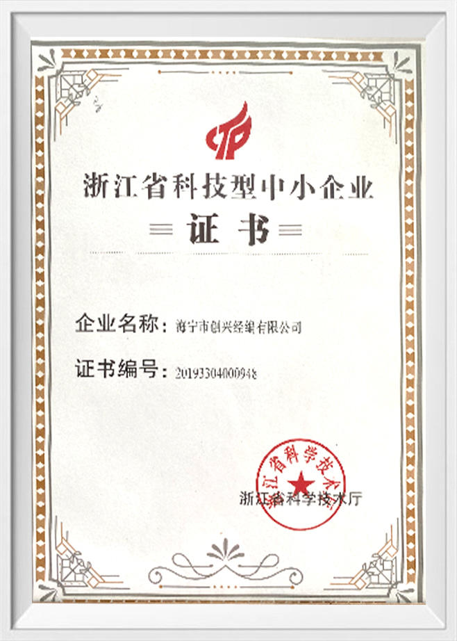 Certificado de pequeñas y medianas empresas de base científica y tecnológica en la provincia de Zhejiang